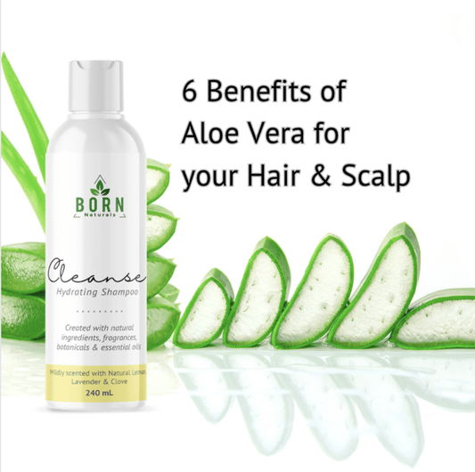 6 Benefits of Aloe Vera for your Hair & Scalp