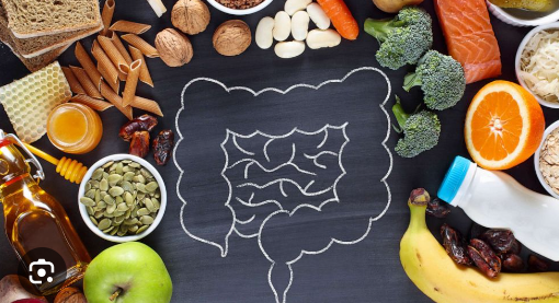 Embracing the Gut: The Critical Link Between Gut Health & Overall Wellbeing