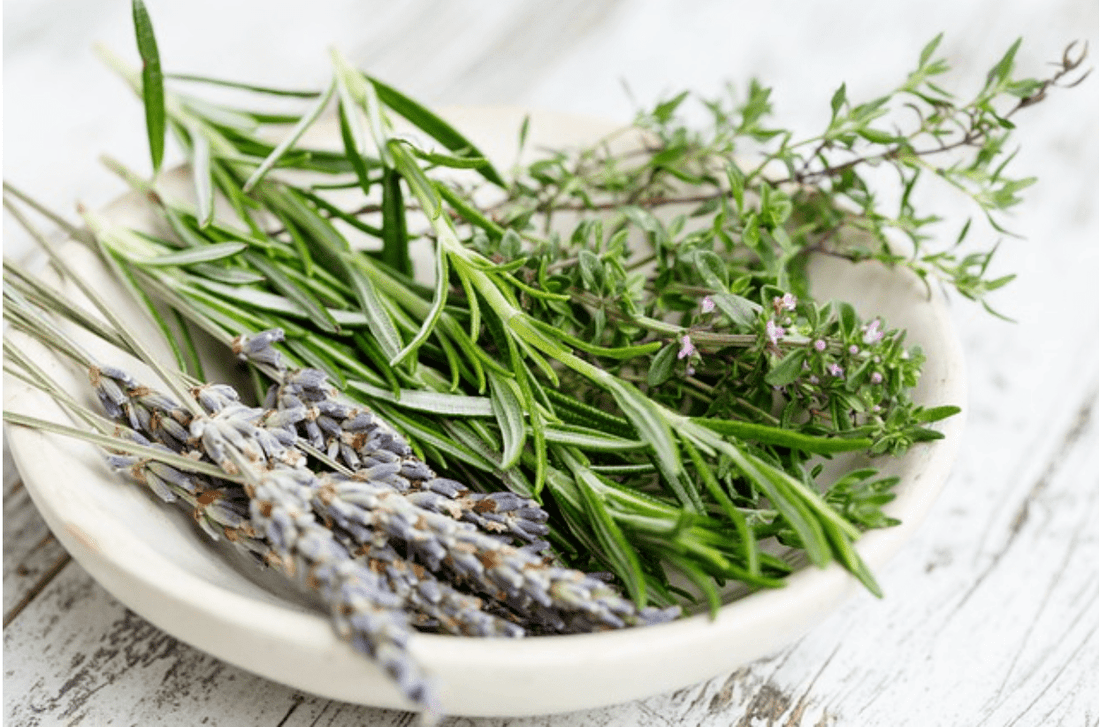 Unlock the Secret to Luscious Locks with Rosemary: The Hair Growth Elixir!