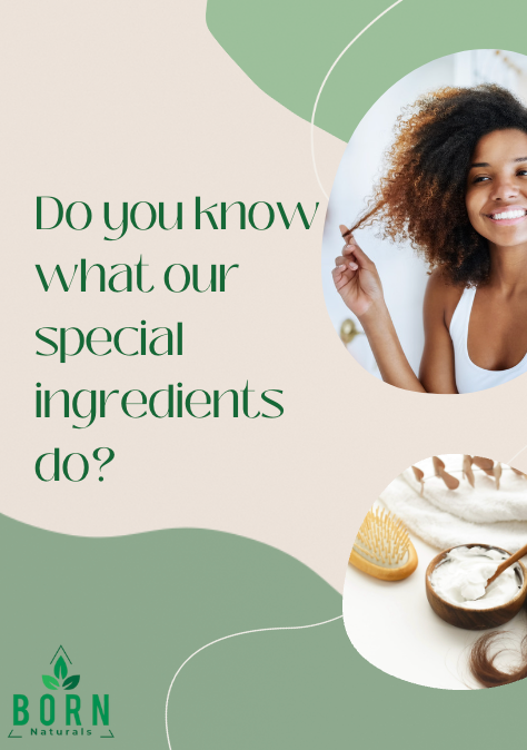 Healthy Hair Guide To Our Special Ingredients