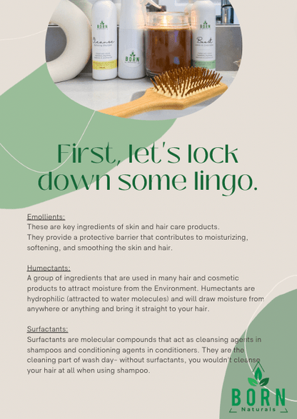 Healthy Hair Guide To Our Special Ingredients