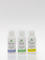 The Mini Essentials Set - Travel Set