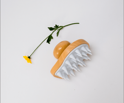 Shop Scalp Massager Brush 