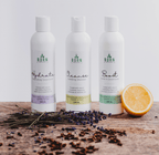 The Perfect Trio Bundle – Your Ultimate Hair Reset (Save 15%)