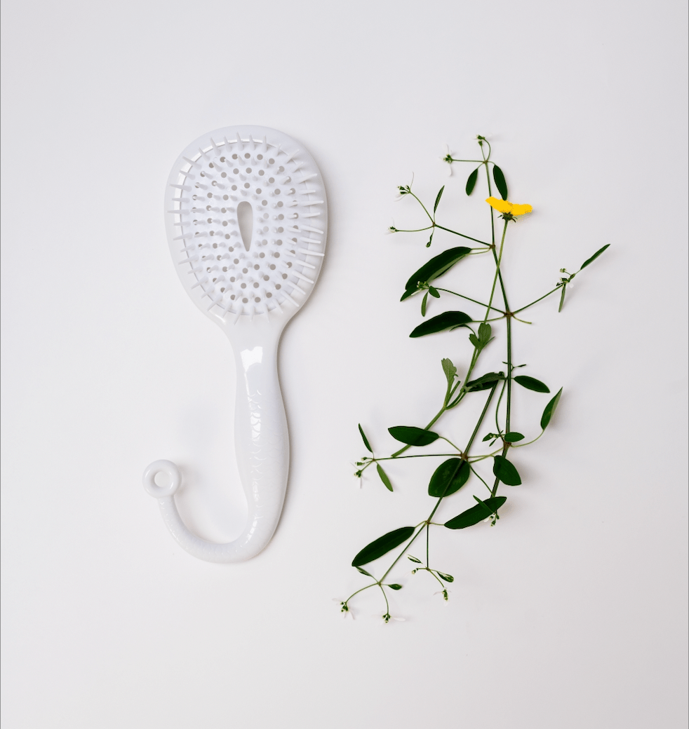 Wet Hair Brush: In-Shower Detangle Brush
